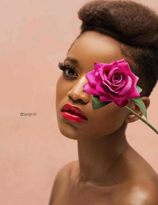 dfc3d026-cbda-4b51-9d15-eb1b73526c76